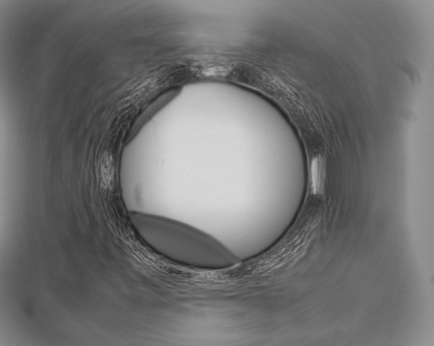X0000112811443200908210928