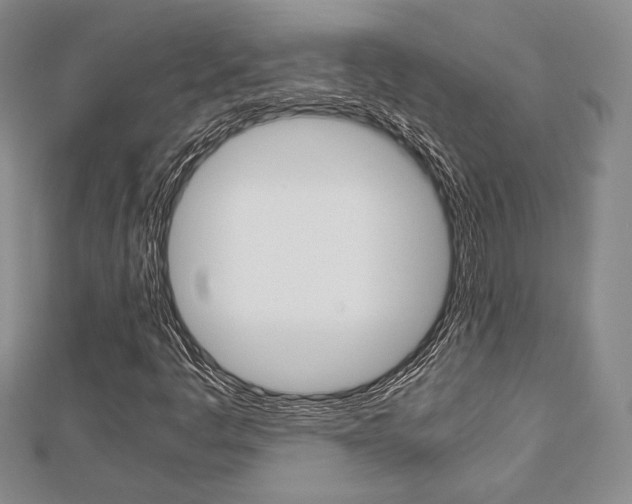 X0000112811445200908210928