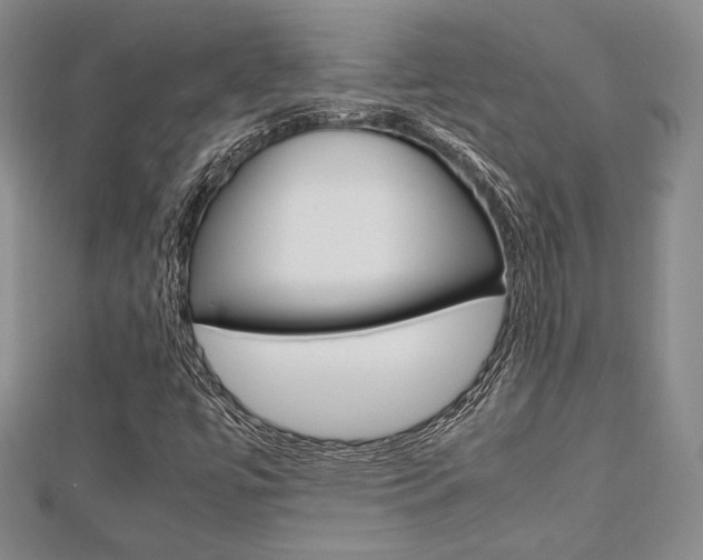 X0000112811447200908210928