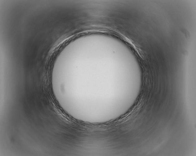 X0000112811448200908210928