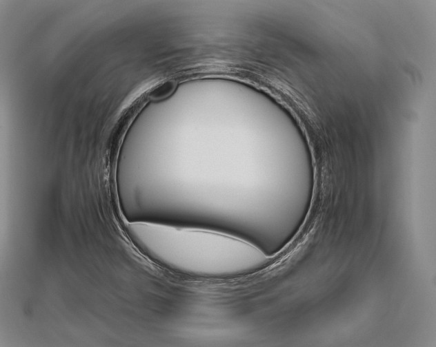 X0000112811450200908210928