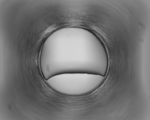 X0000112811451200908210928