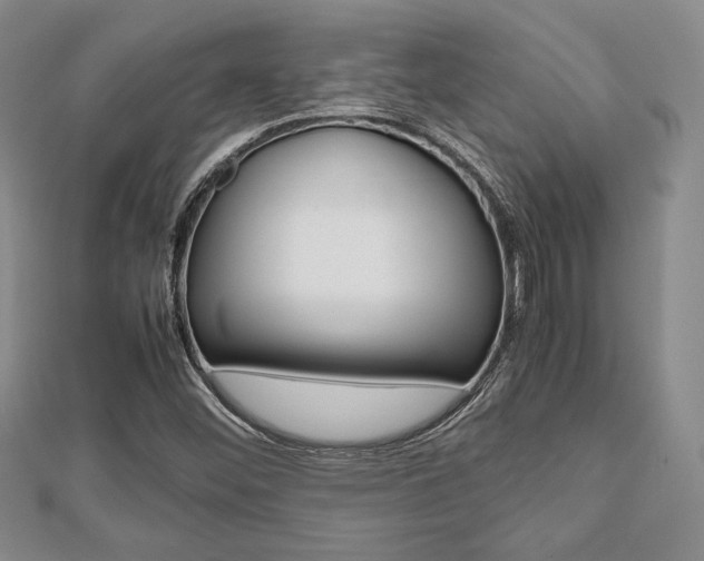 X0000112811452200908210927