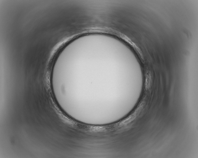 X0000112811454200908210927