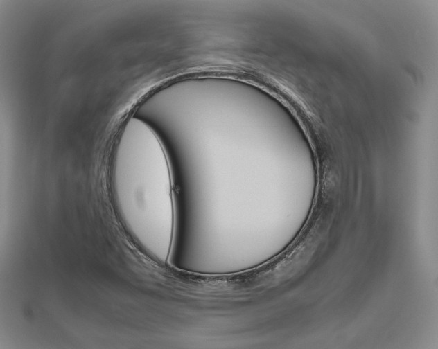 X0000112811455200908210927