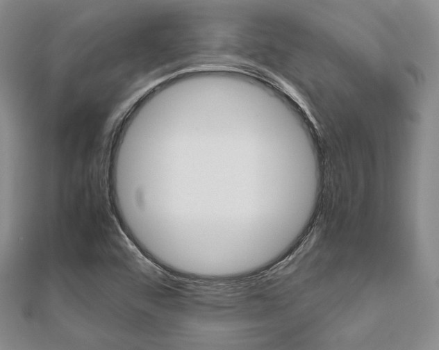X0000112811456200908210927