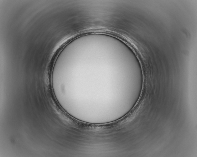 X0000112811458200908210927