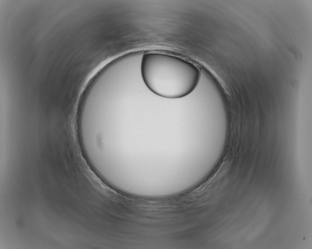 X0000112811460200908210927