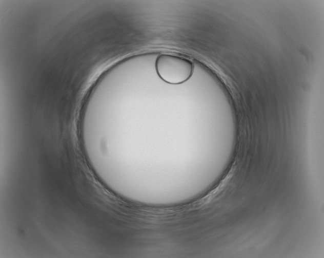 X0000112811461200908210927