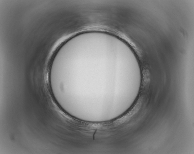 X0000112811462200908210927