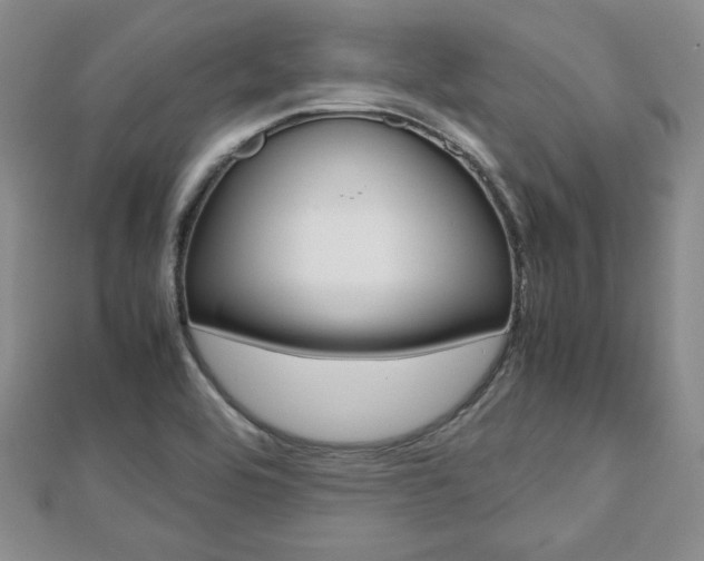 X0000112811464200908210927