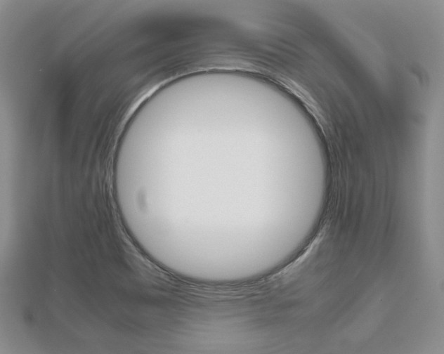 X0000112811465200908210927