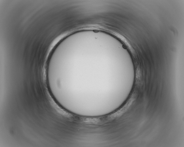 X0000112811466200908210927