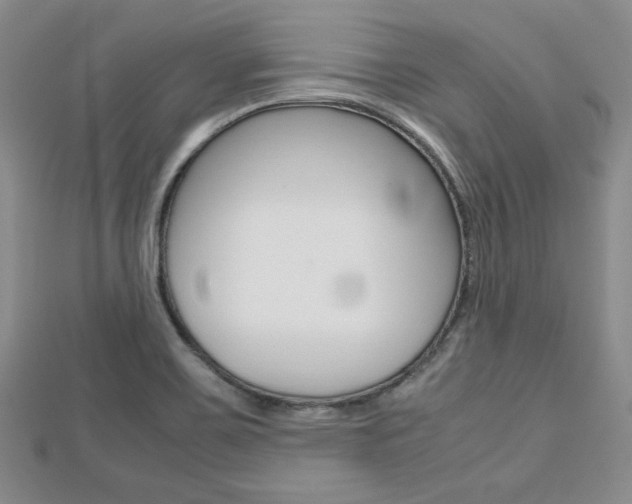 X0000112811467200908210927