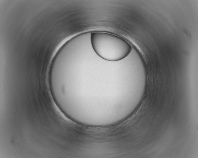X0000112811468200908210927