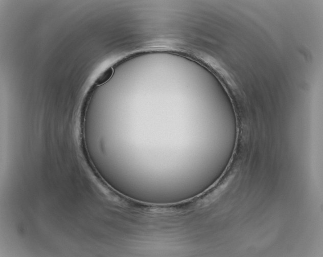 X0000112811469200908210927