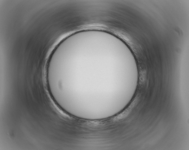 X0000112811470200908210927