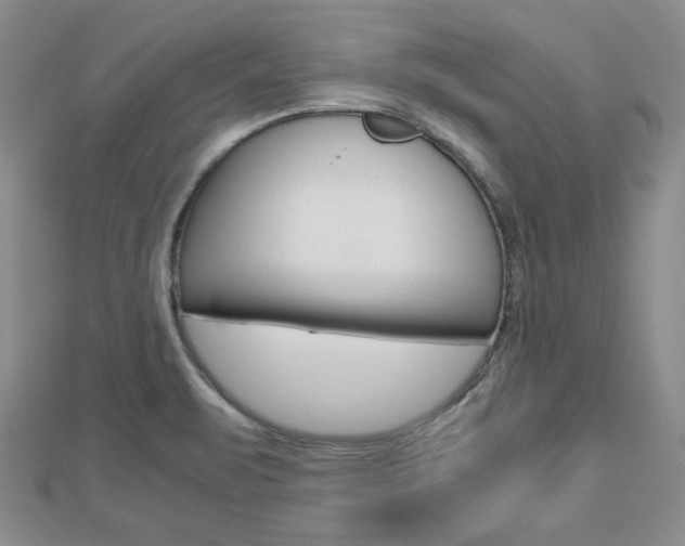 X0000112811471200908210927