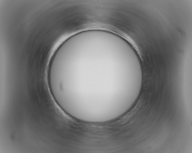 X0000112811472200908210927