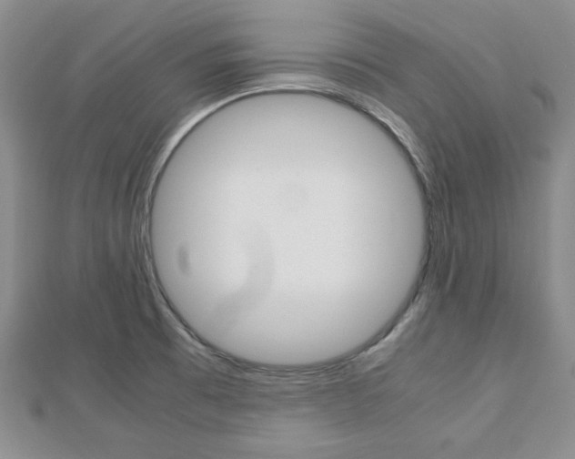 X0000112811473200908210927