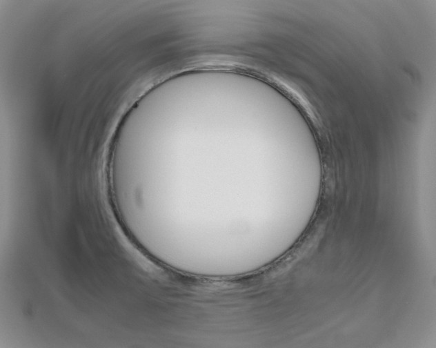 X0000112811475200908210927