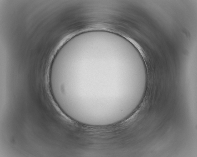 X0000112811477200908210927