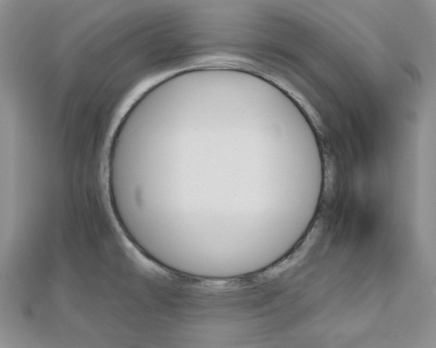 X0000112811478200908210927