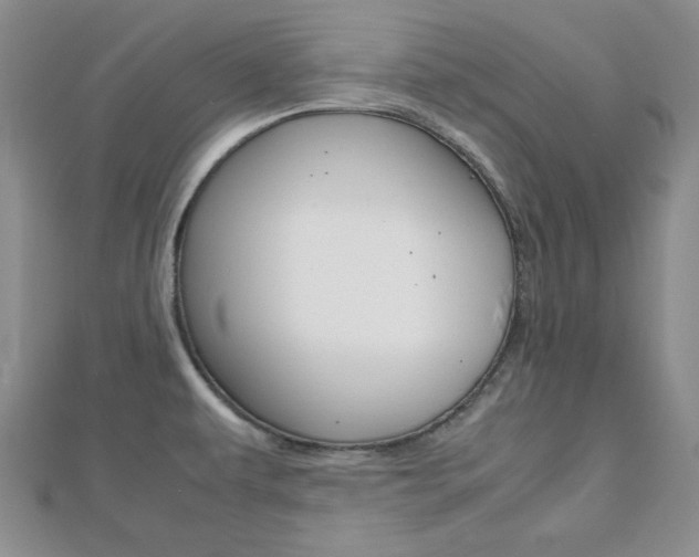 X0000112811479200908210927