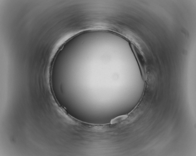 X0000112811480200908210927
