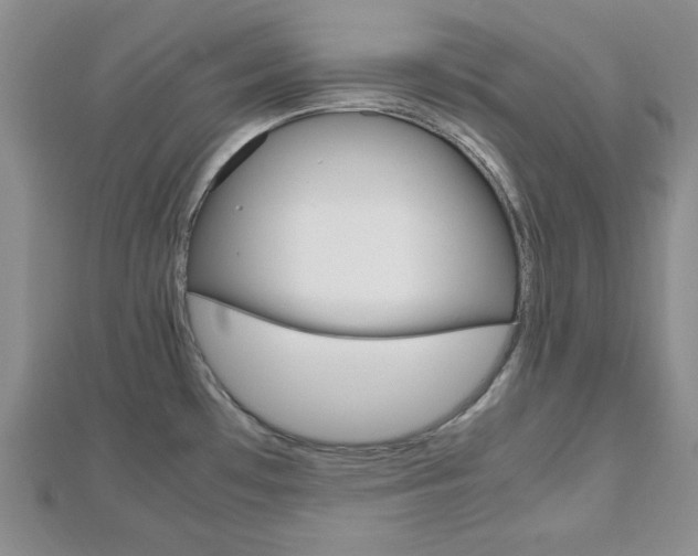 X0000112811481200908210927