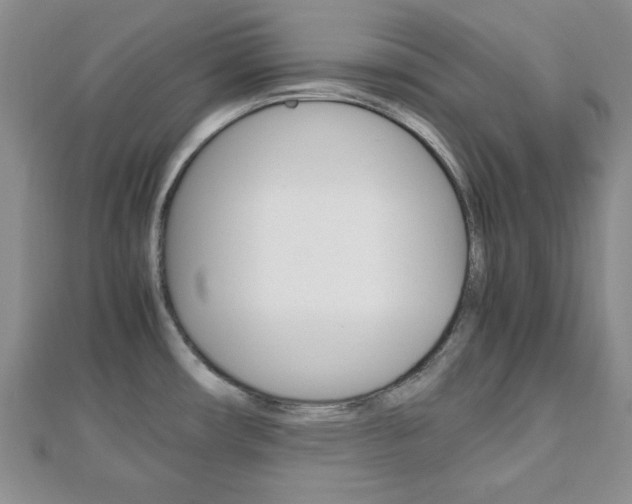 X0000112811482200908210927