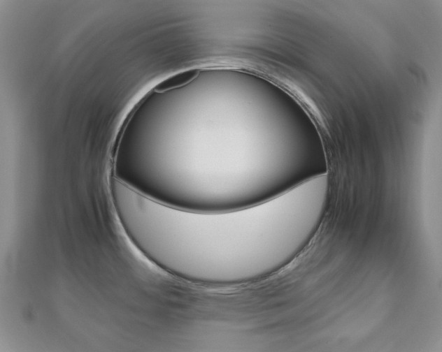 X0000112811484200908210927