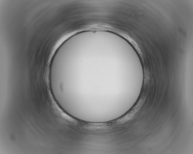 X0000112811486200908210927