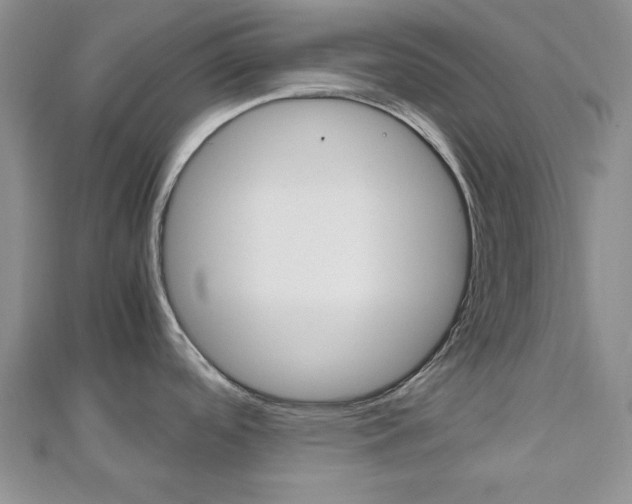 X0000112811488200908210927