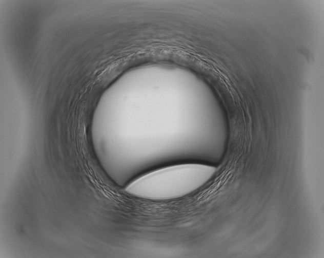 X0000112811489200908210926