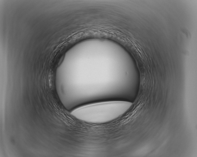X0000112811490200908210926