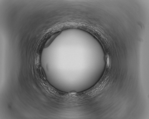 X0000112811492200908210926