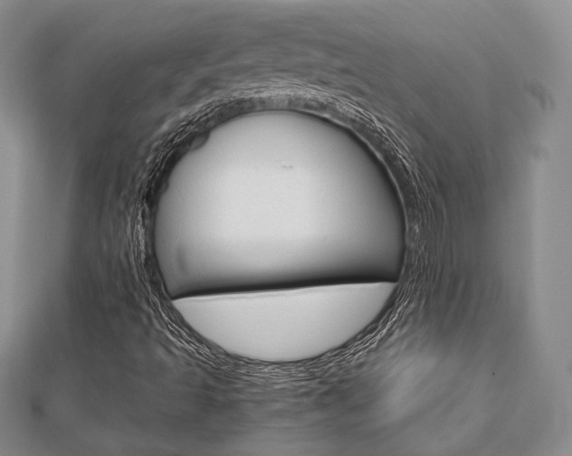 X0000112811493200908210926