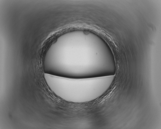 X0000112811494200908210926