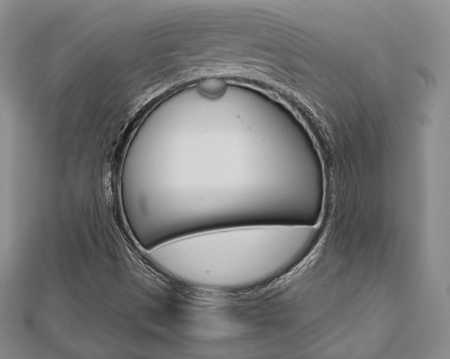 X0000112811497200908210926