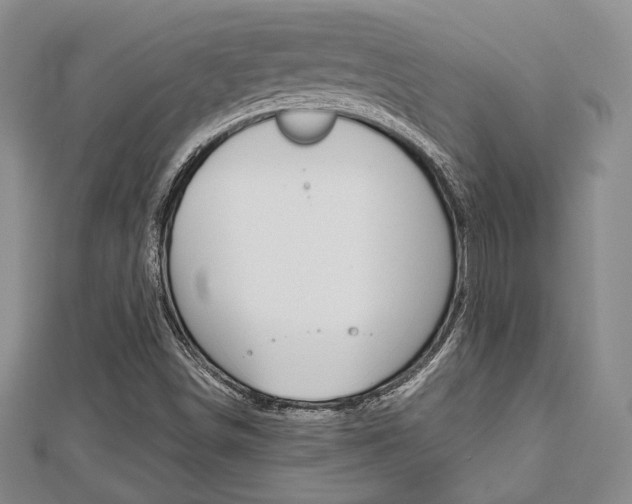 X0000112811498200908210926