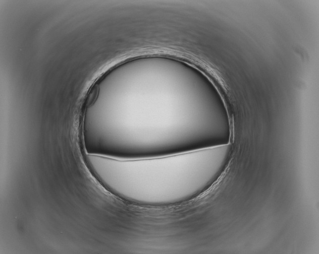 X0000112811500200908210926