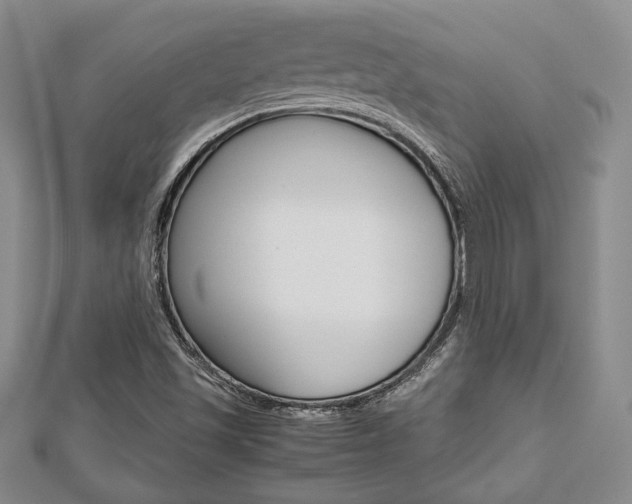 X0000112811501200908210926