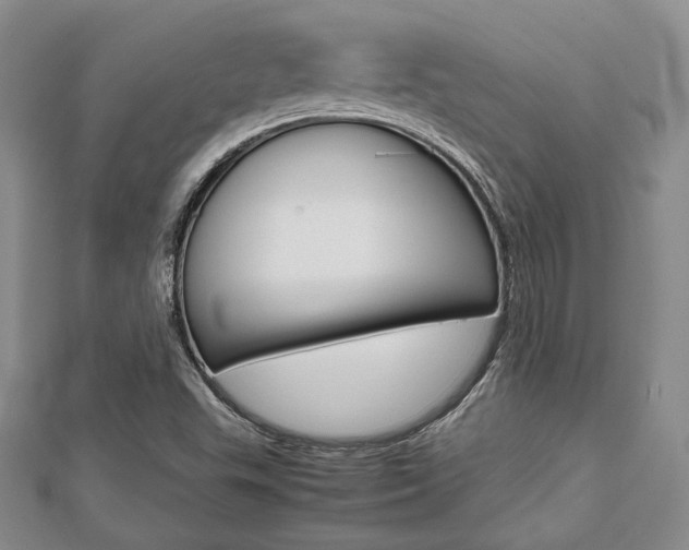 X0000112811503200908210926