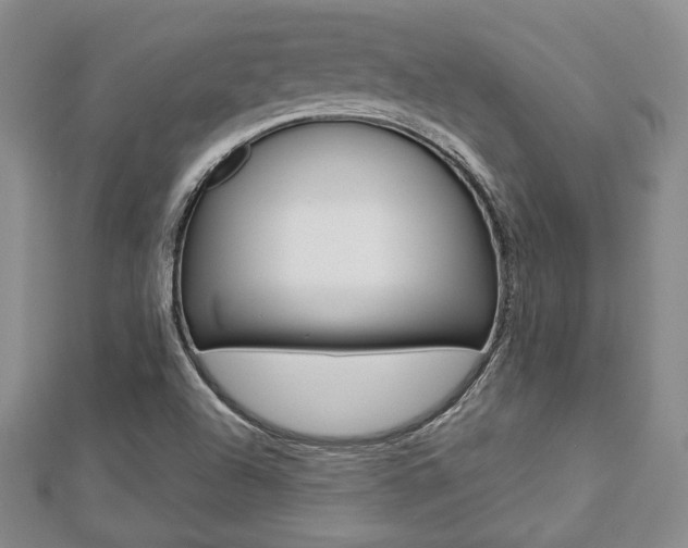 X0000112811504200908210926