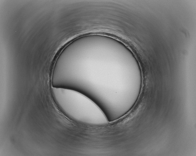 X0000112811505200908210926