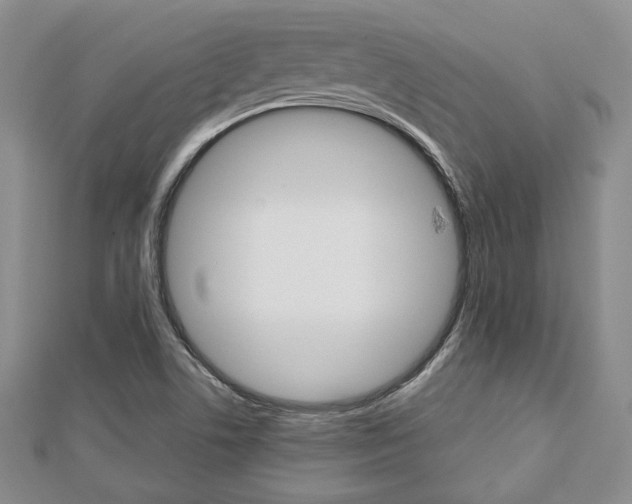X0000112811506200908210926