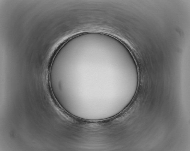 X0000112811507200908210926