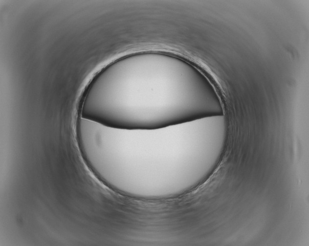 X0000112811508200908210926