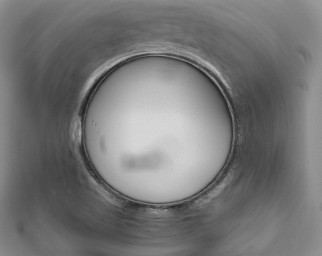 X0000112811509200908210926